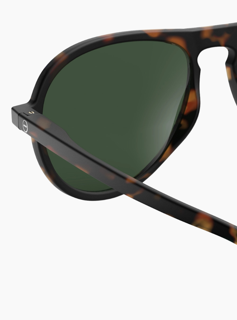 Gafas de sol #I - Tortoise