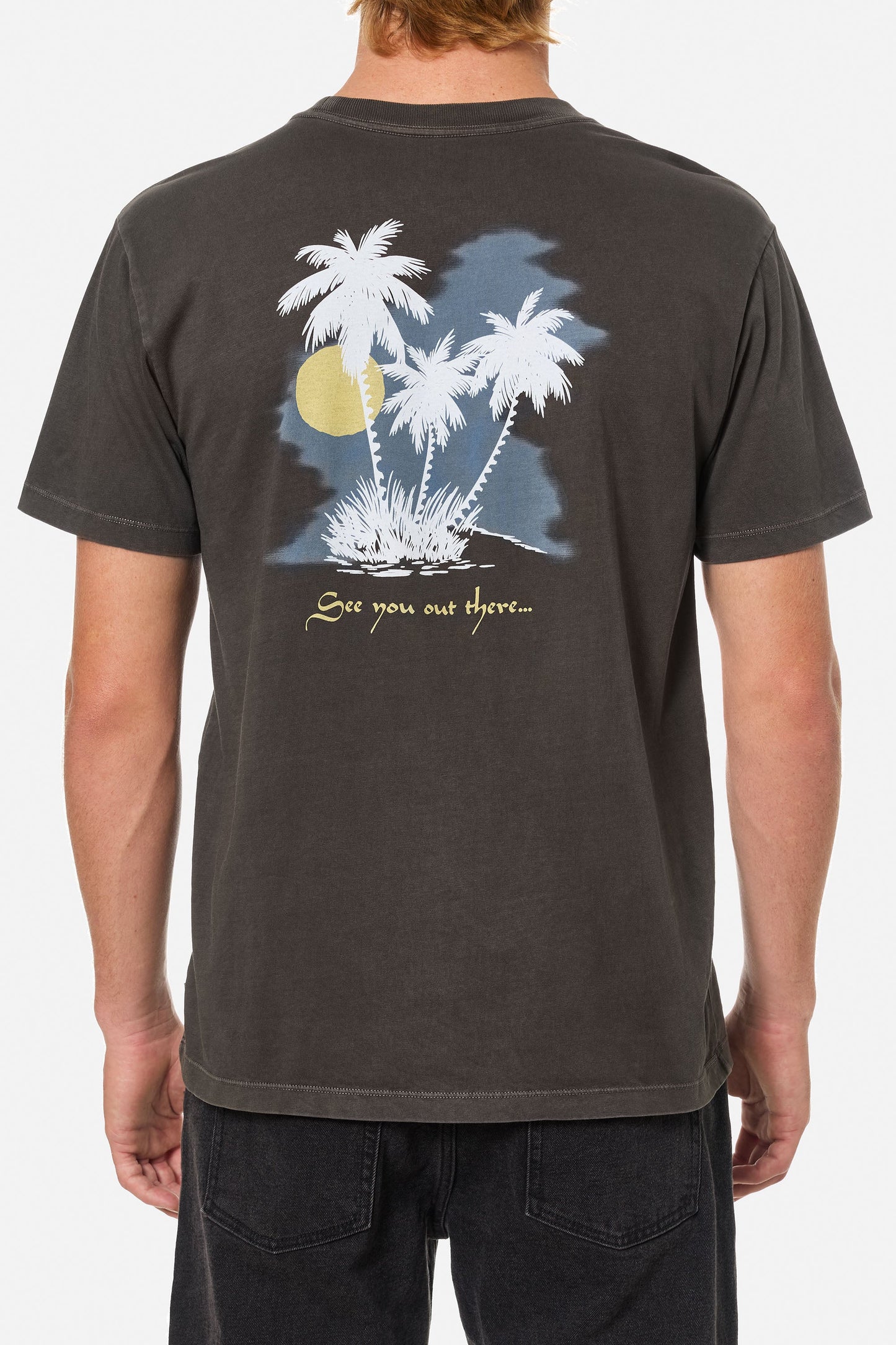 Camiseta Oasis de Katin USA de algodón orgánico con diseño inspirado en postales de viaje