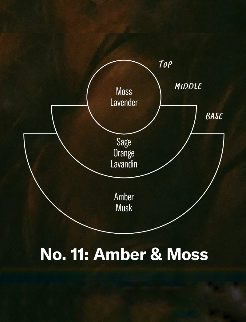 DIFUSOR DE FRAGANCIA EN STICKS 100ML - NO. 11 AMBER AND MOSS