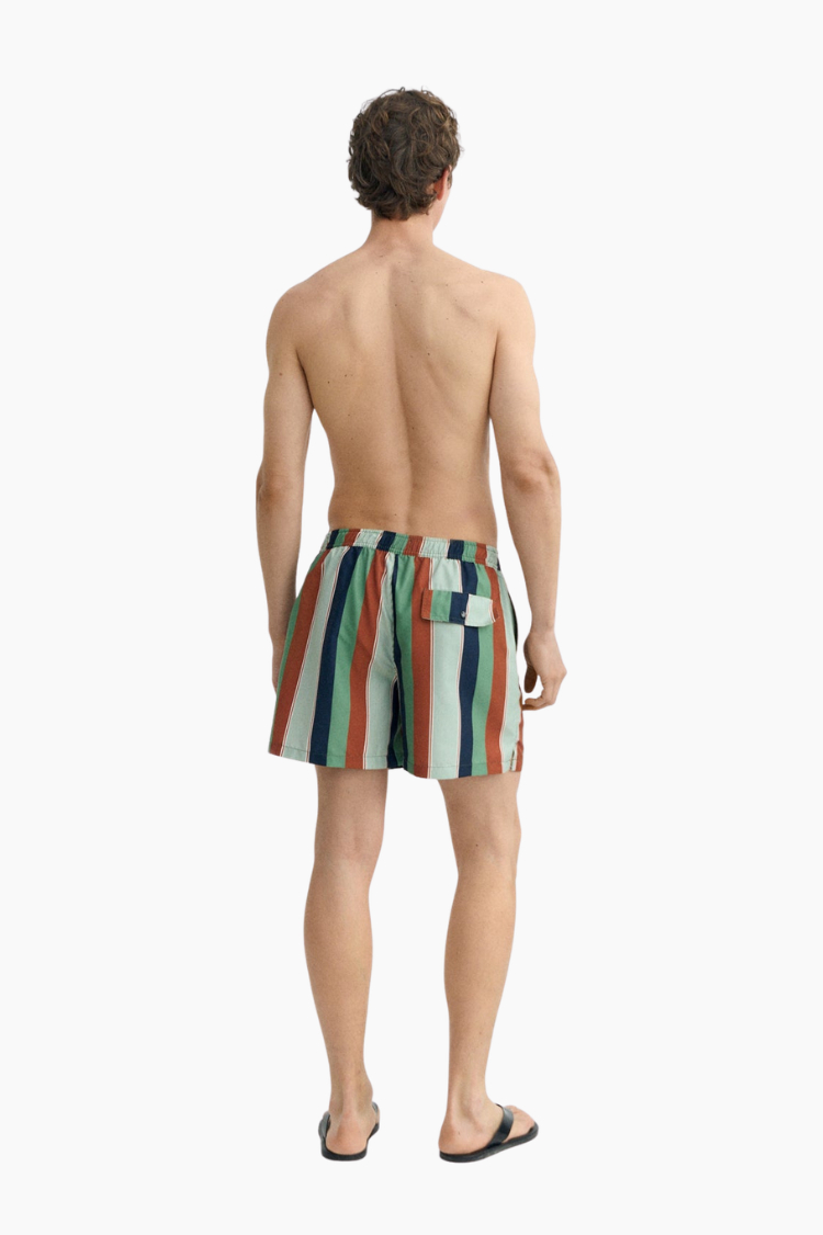 Bañador Liu Rayas Multicolor