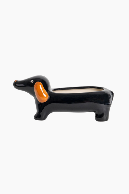 maceta teckel negra helio ferretti ceramica plantas pequeñas