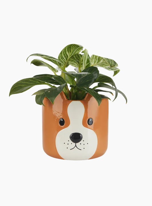 Maceta Woof Balvi de cerámica con cara de perro decorativa