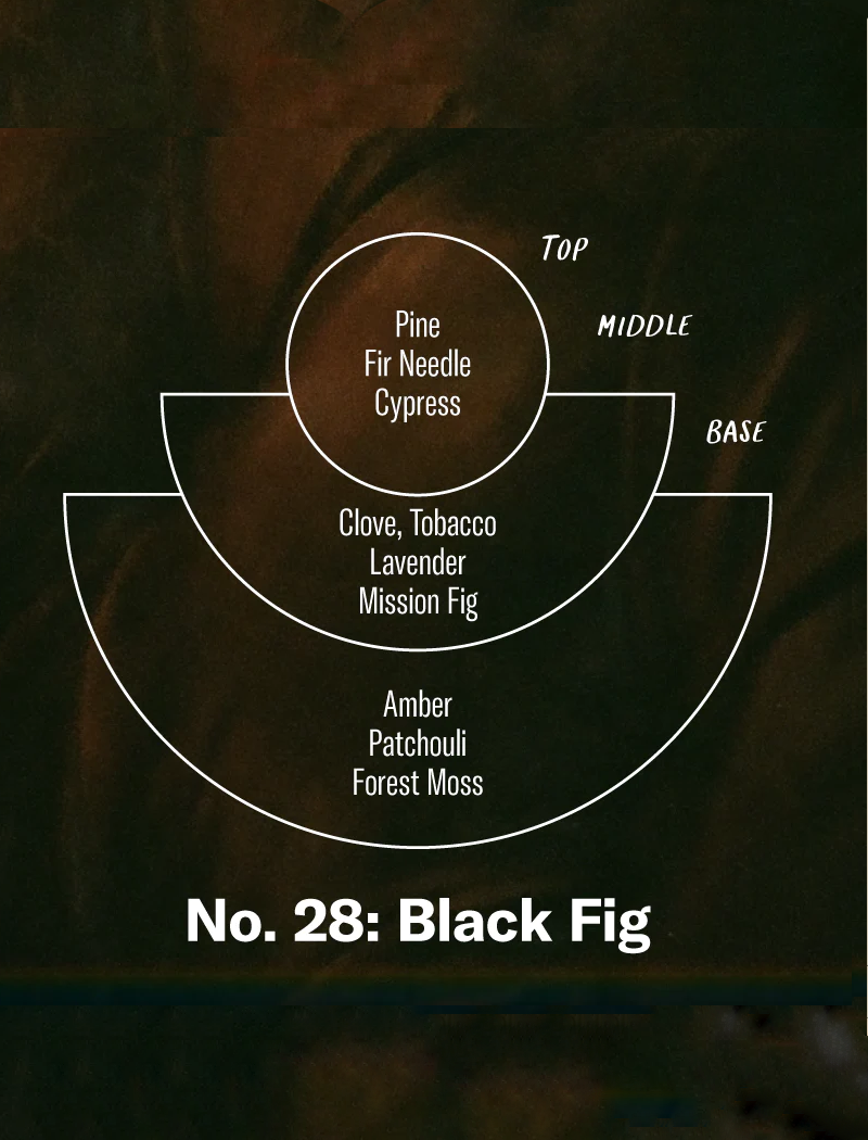 Vela aromática standard - NO. 28 Black fig