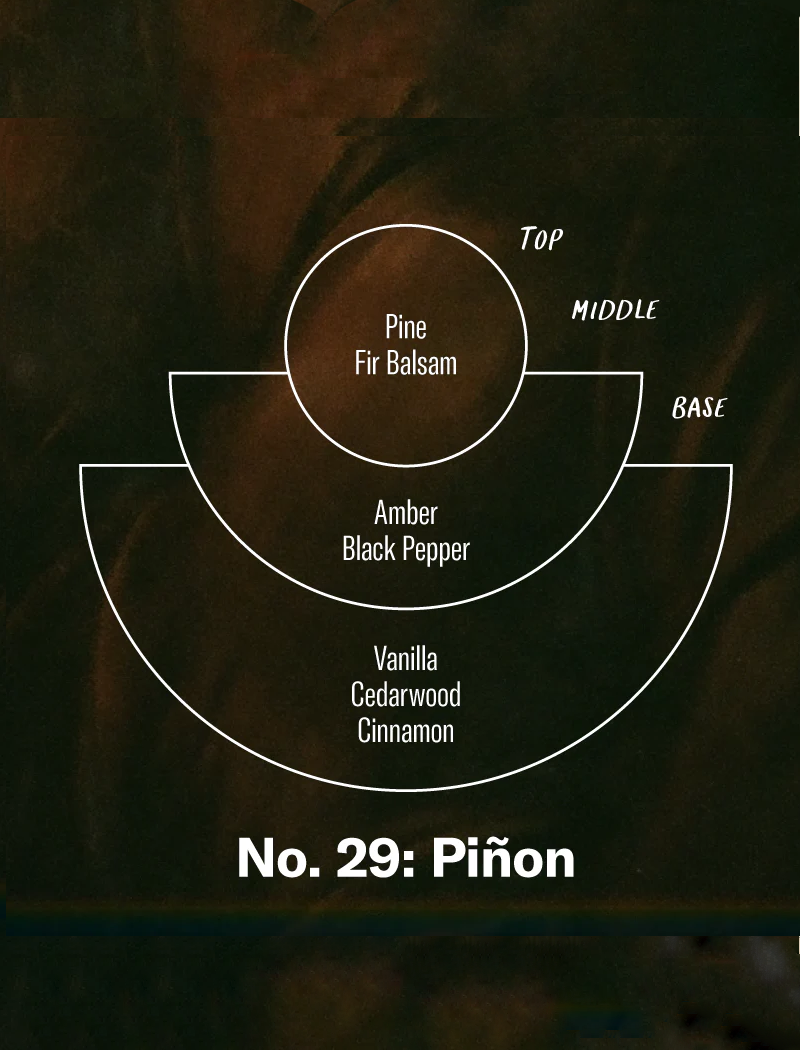 Vela aromática standard - NO. 29 Piñon