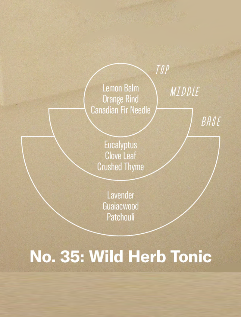 Vela aromática standard - NO. 36 Wild Fig Tonic