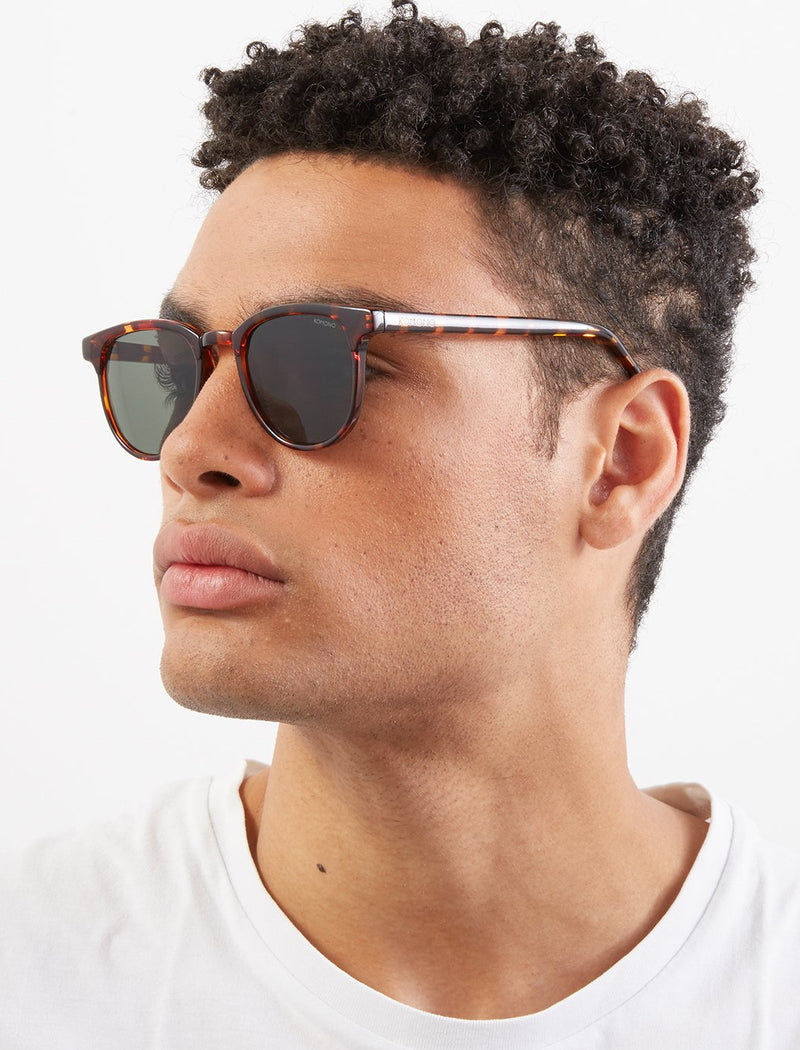 Gafas de sol Francis - tortoise - Tequila Sunset
